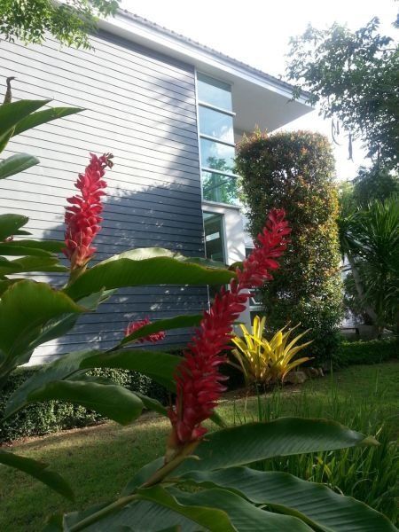 <? echo $keyword ; ?>