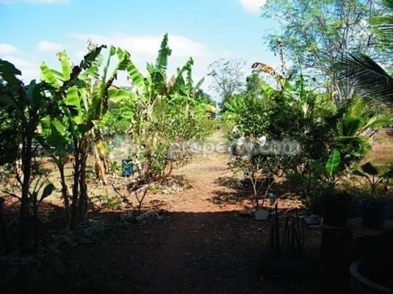 <? echo $keyword ; ?>