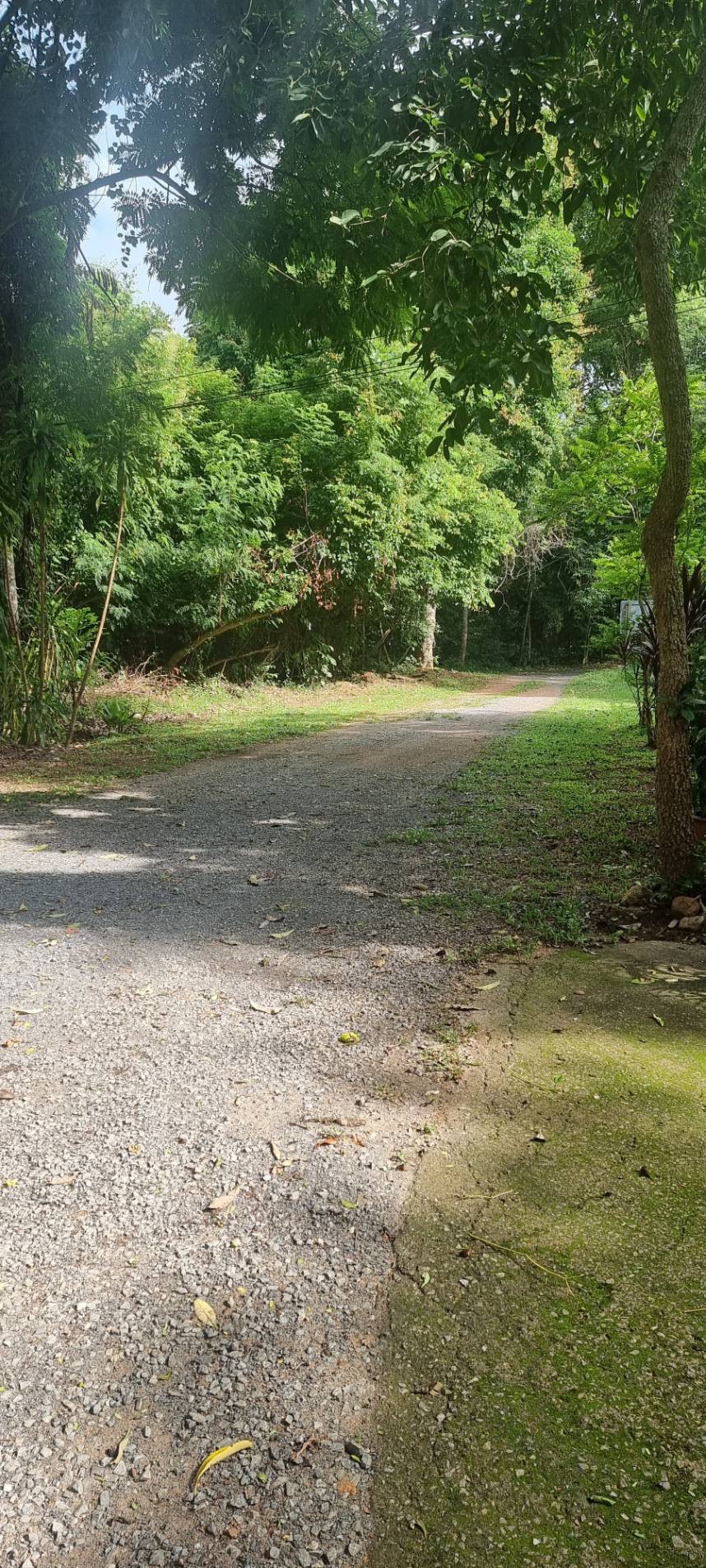 <? echo $keyword ; ?>