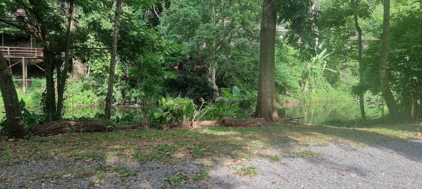 <? echo $keyword ; ?>