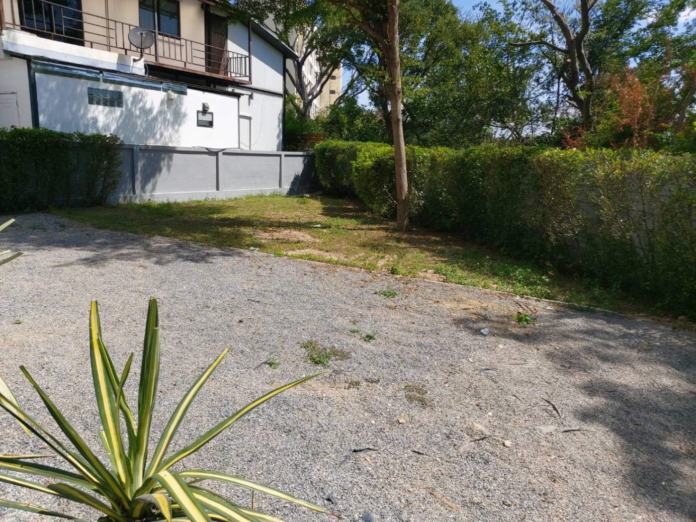 <? echo $keyword ; ?>