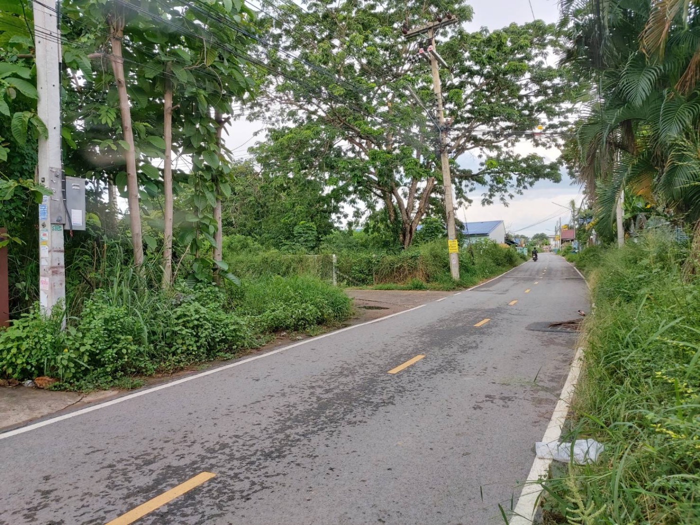 <? echo $keyword ; ?>