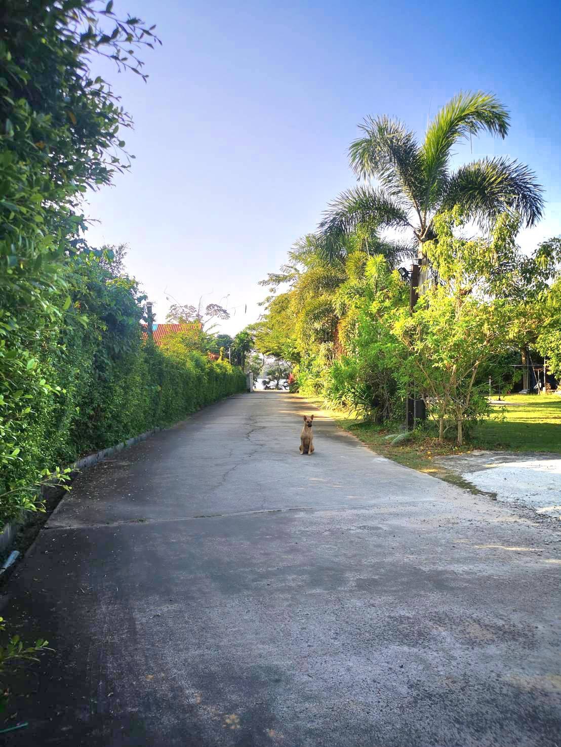 <? echo $keyword ; ?>