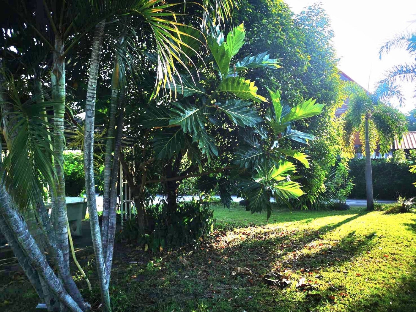 <? echo $keyword ; ?>