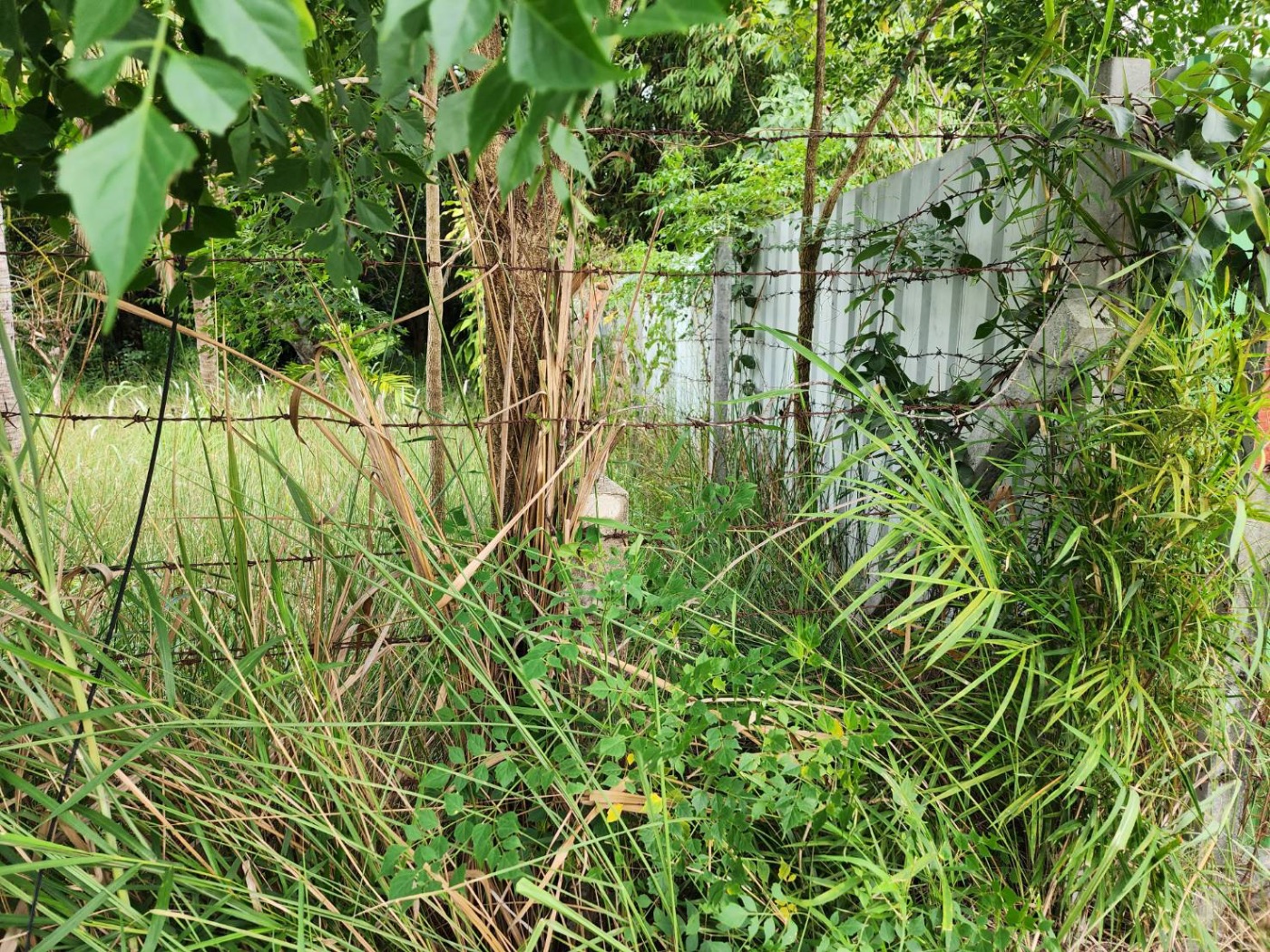 <? echo $keyword ; ?>