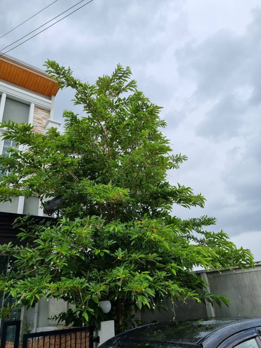 <? echo $keyword ; ?>