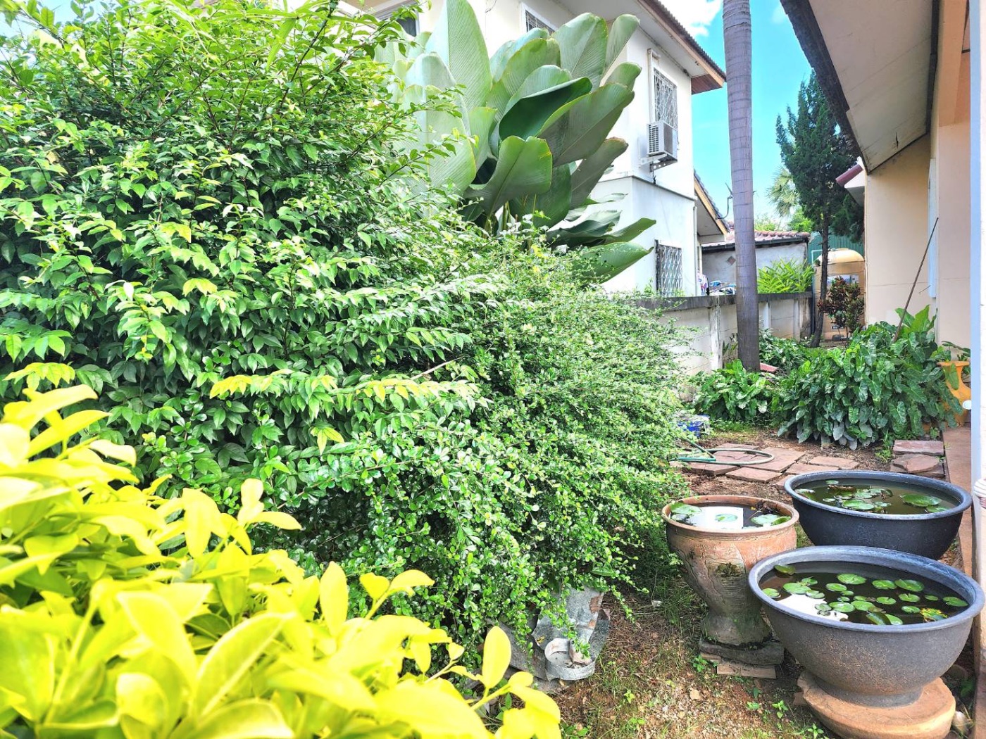 <? echo $keyword ; ?>