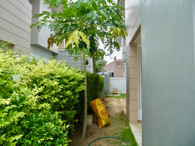 <? echo $keyword ; ?>