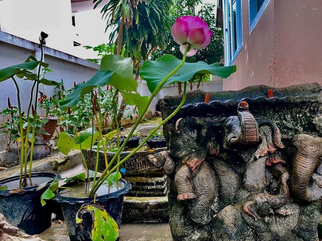 <? echo $keyword ; ?>