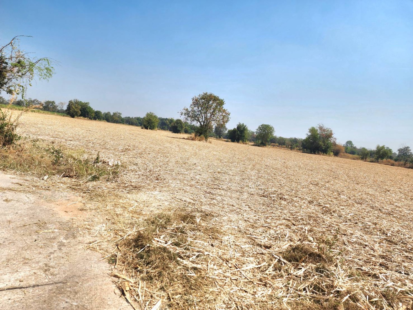 <? echo $keyword ; ?>