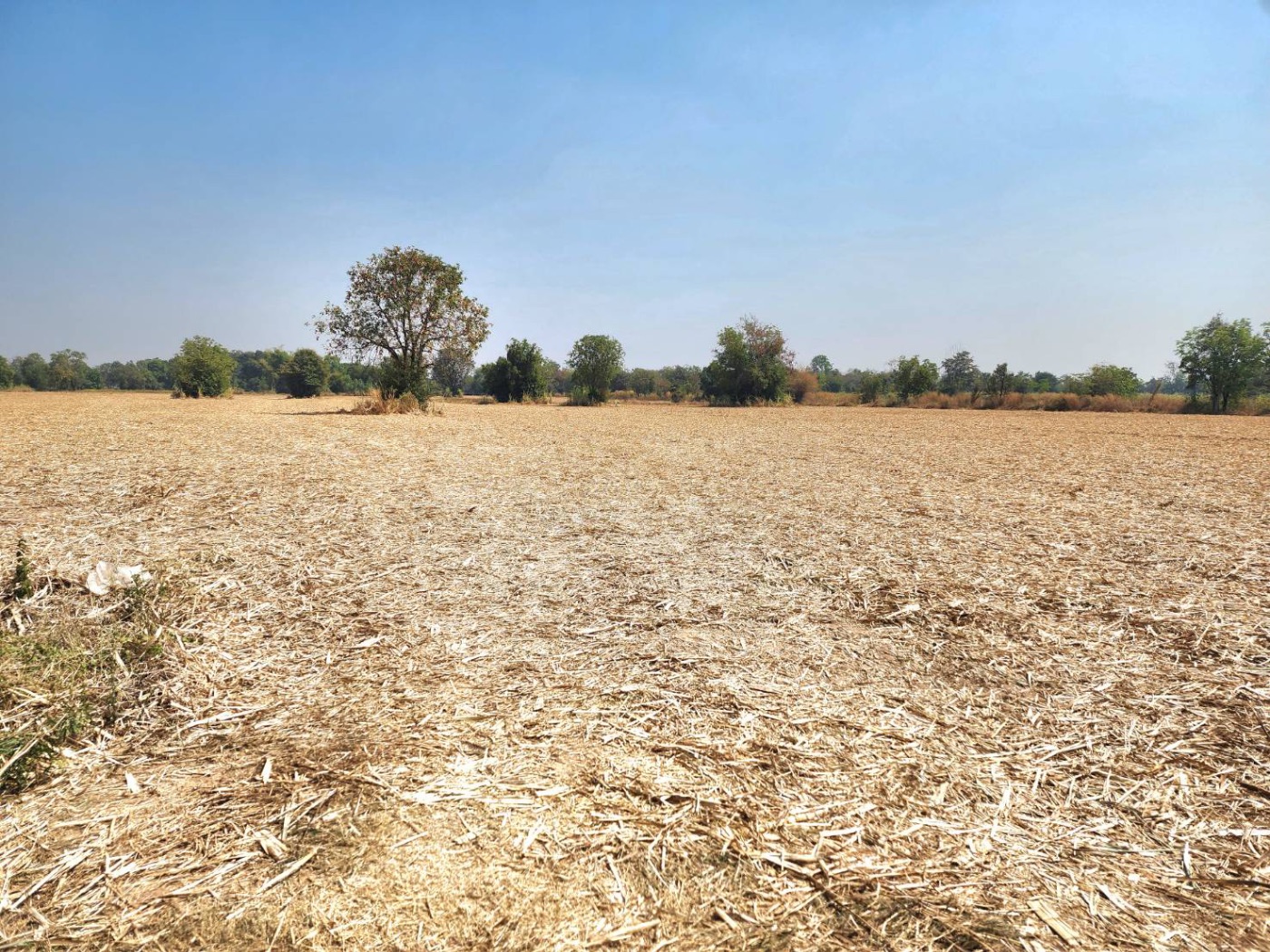 <? echo $keyword ; ?>